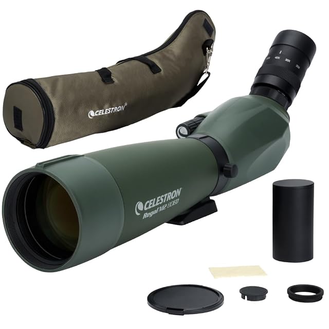 Catalejo Celestron Regal M2 20-60×80 ED en verde